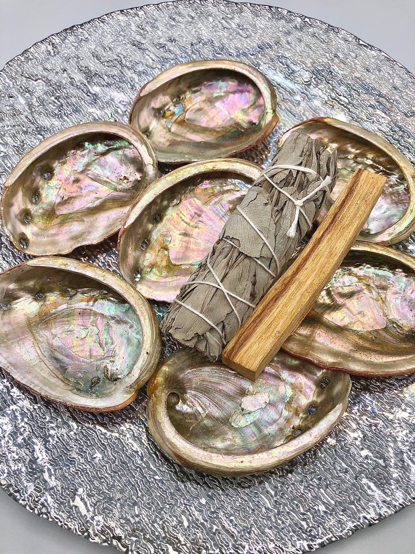 Abalone Shells